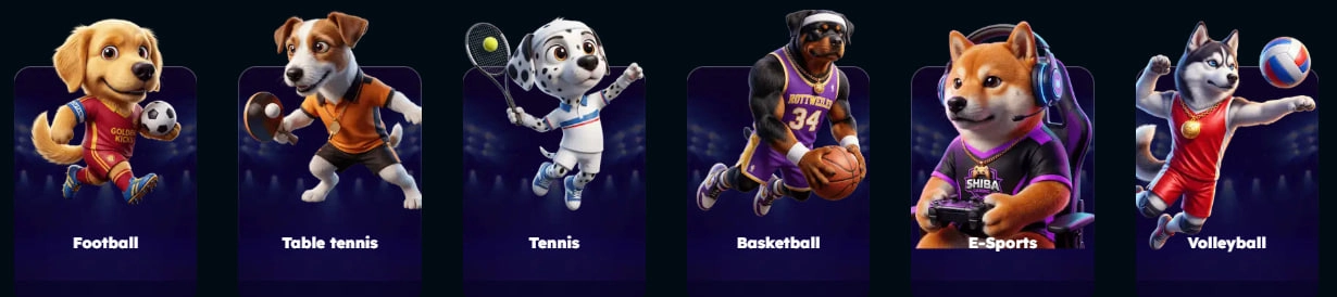 royaldogs casino sport
